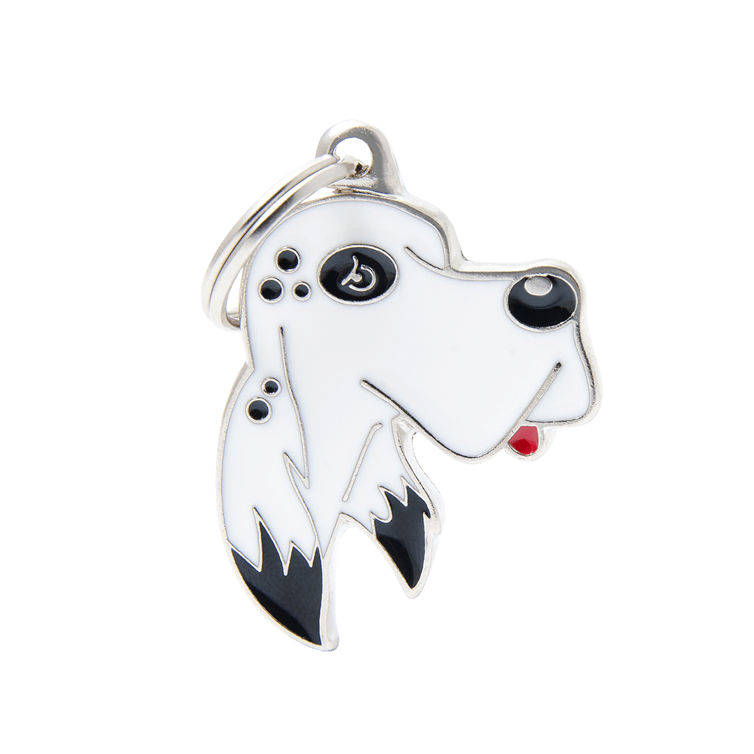 PET ID TAG《SETTER》4種