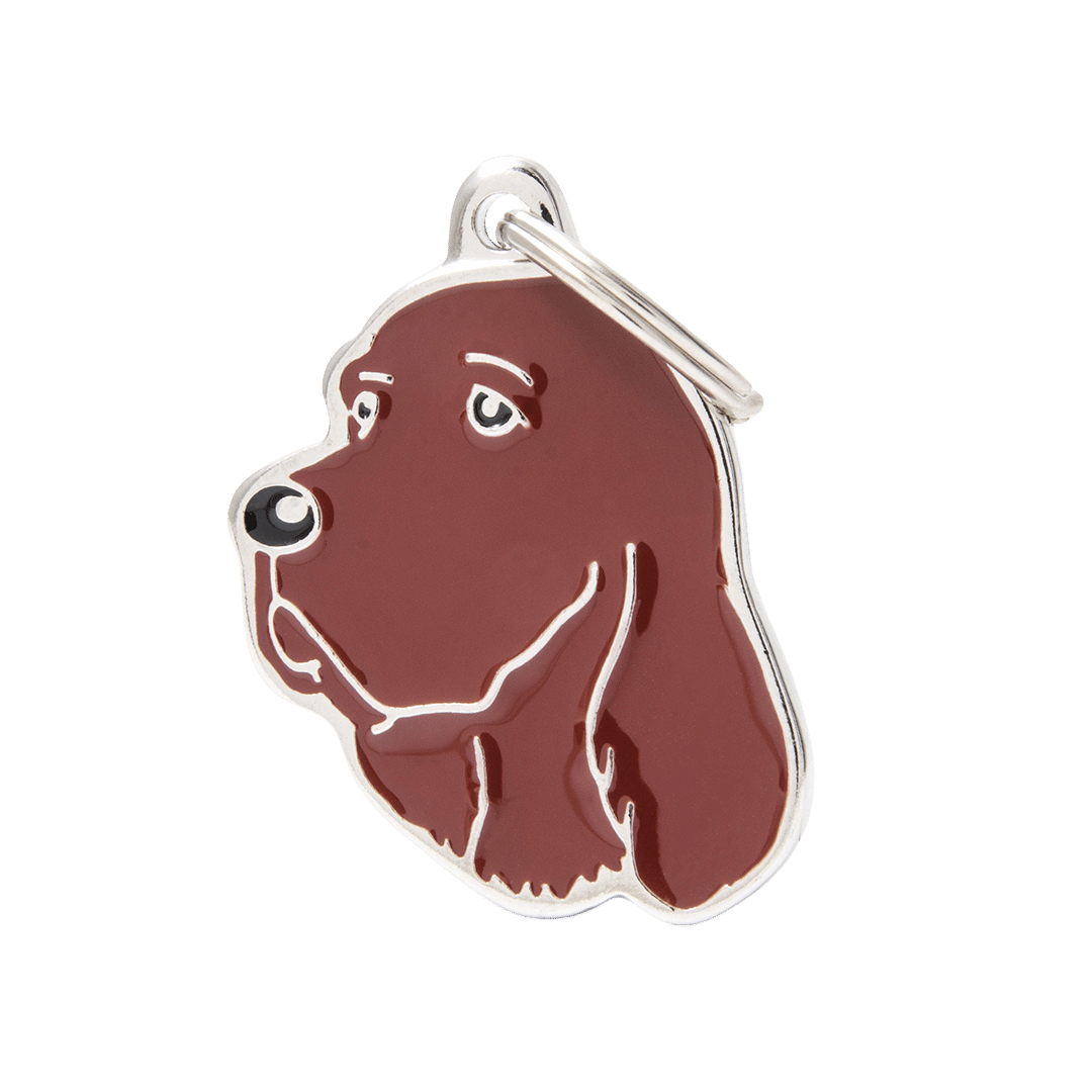 PET ID TAG《RAINBOW》8 types