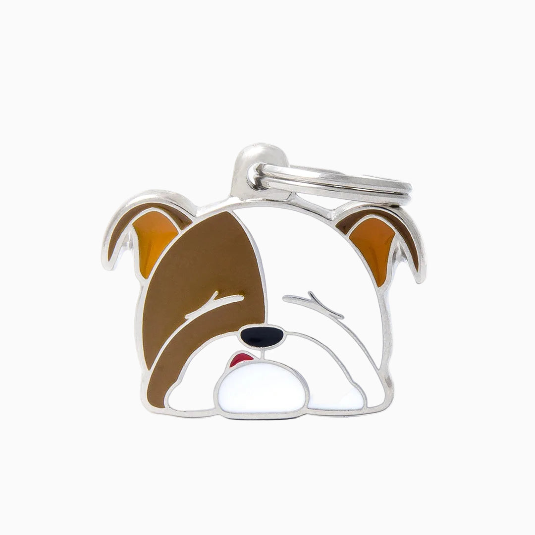 PET ID TAG《RAINBOW》8 types