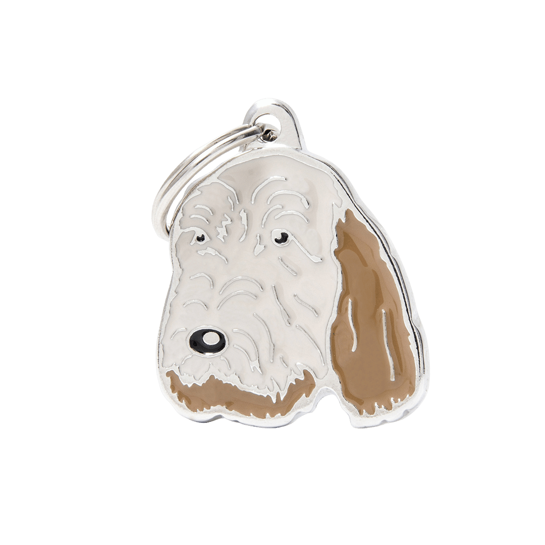 PET ID TAG《ITALIAN SPINONE》