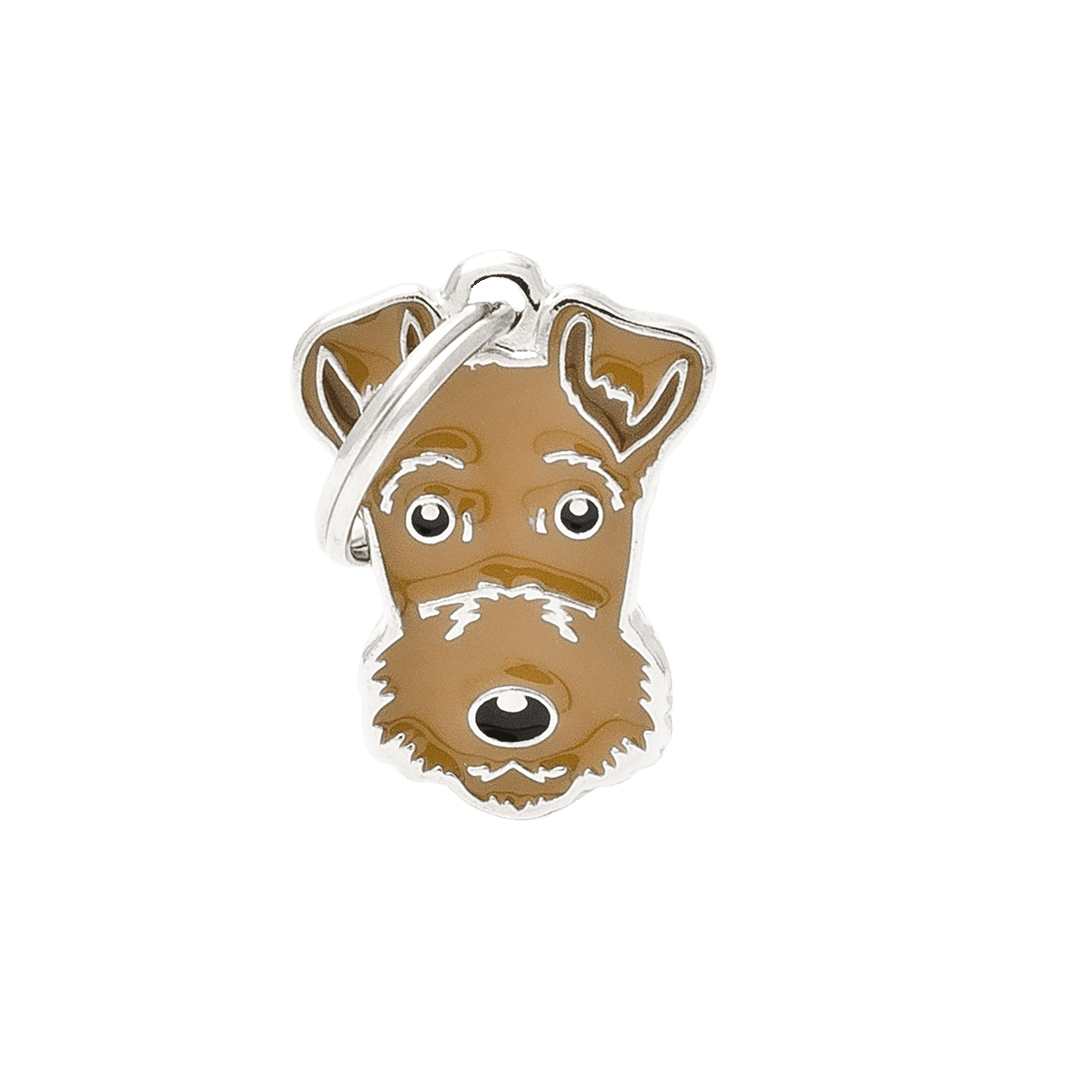 PET ID TAG《FOX TERRIER》3種