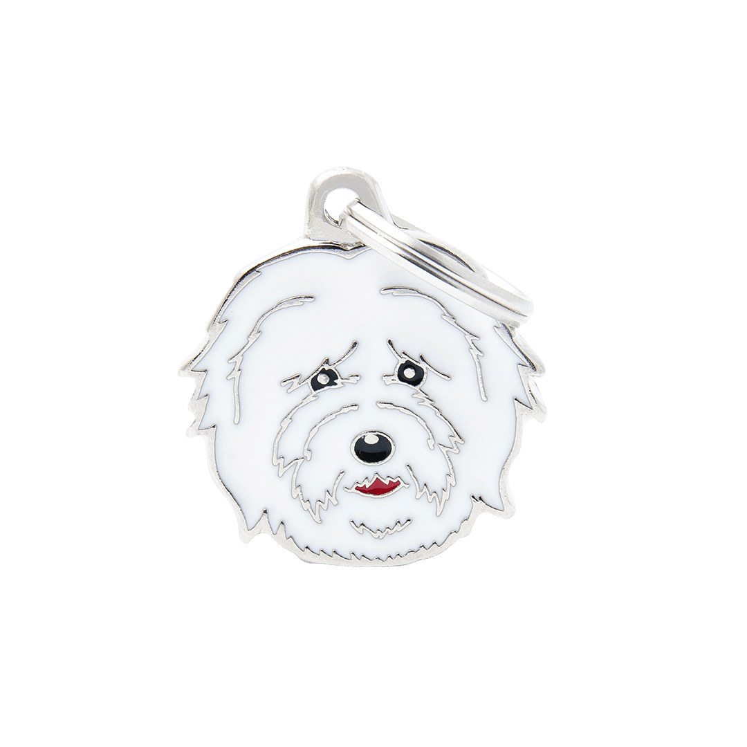 PET ID TAG《COTON DE TULEAR》