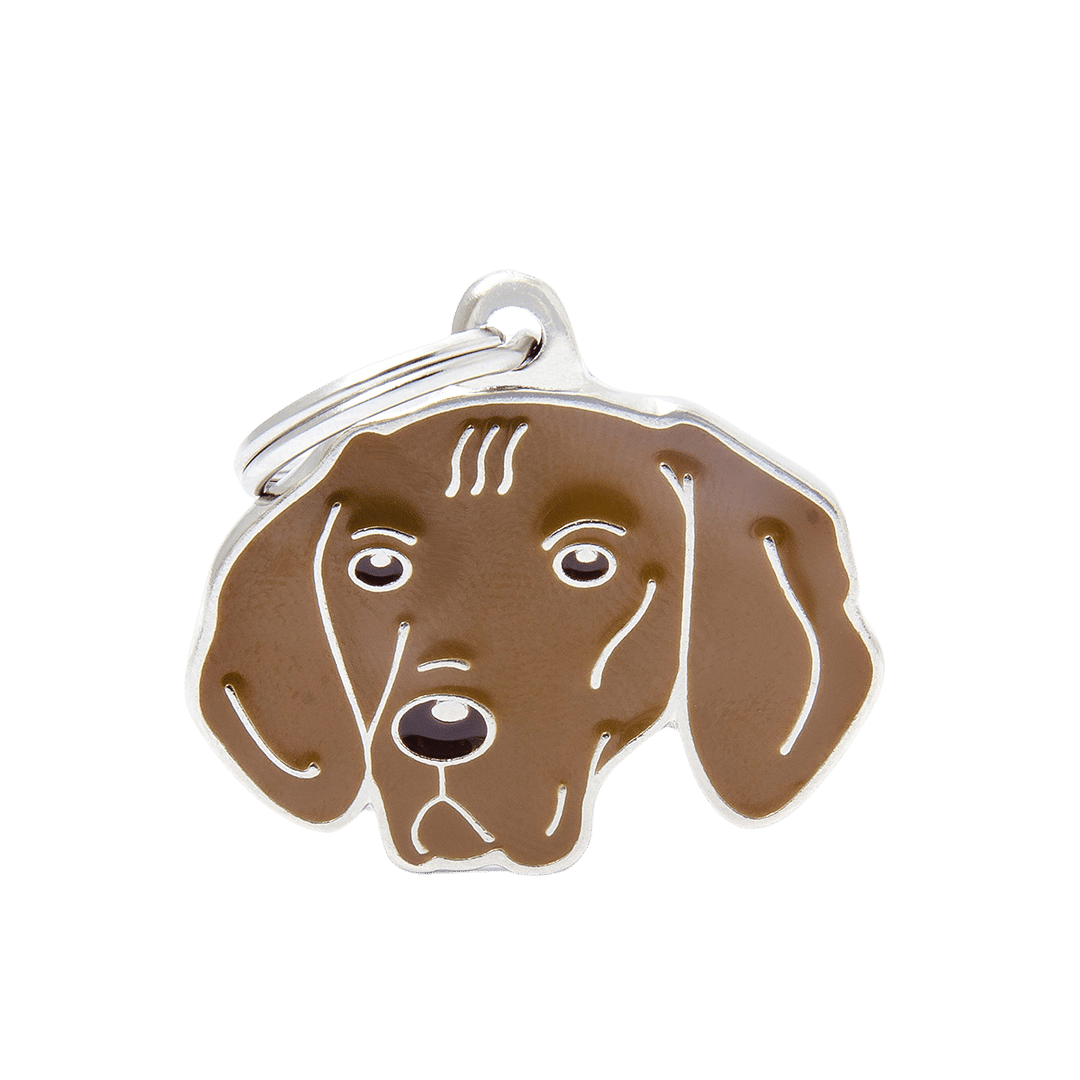 PET ID TAG《VIZSLA》