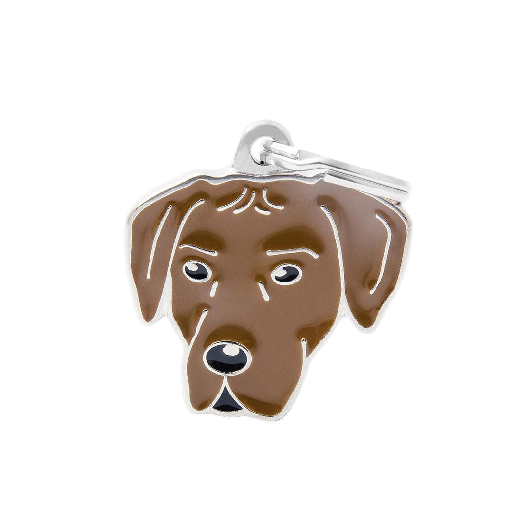 PET ID TAG《RHODESIAN RIDGEBACK》