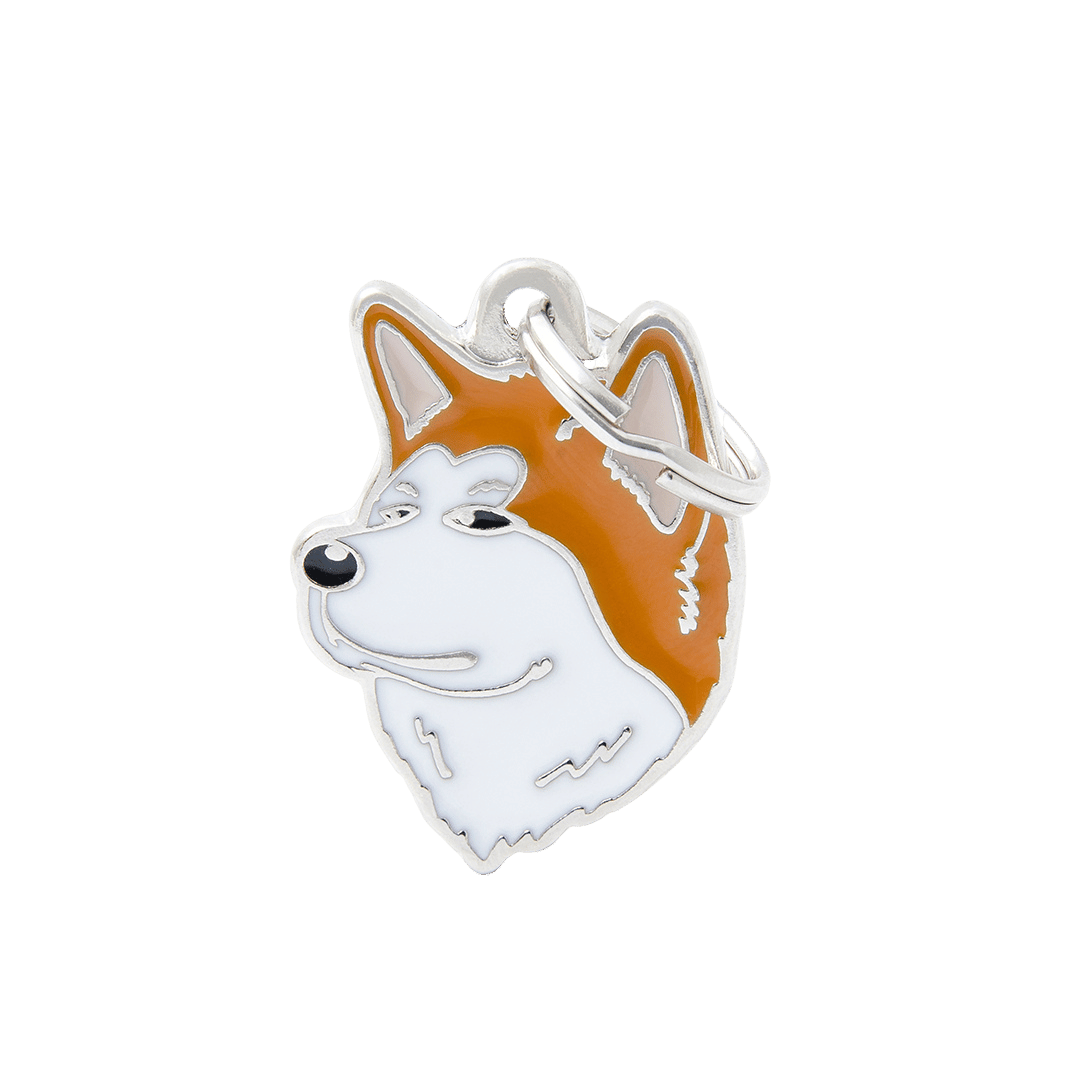 PET ID TAG《SHIBA INU》