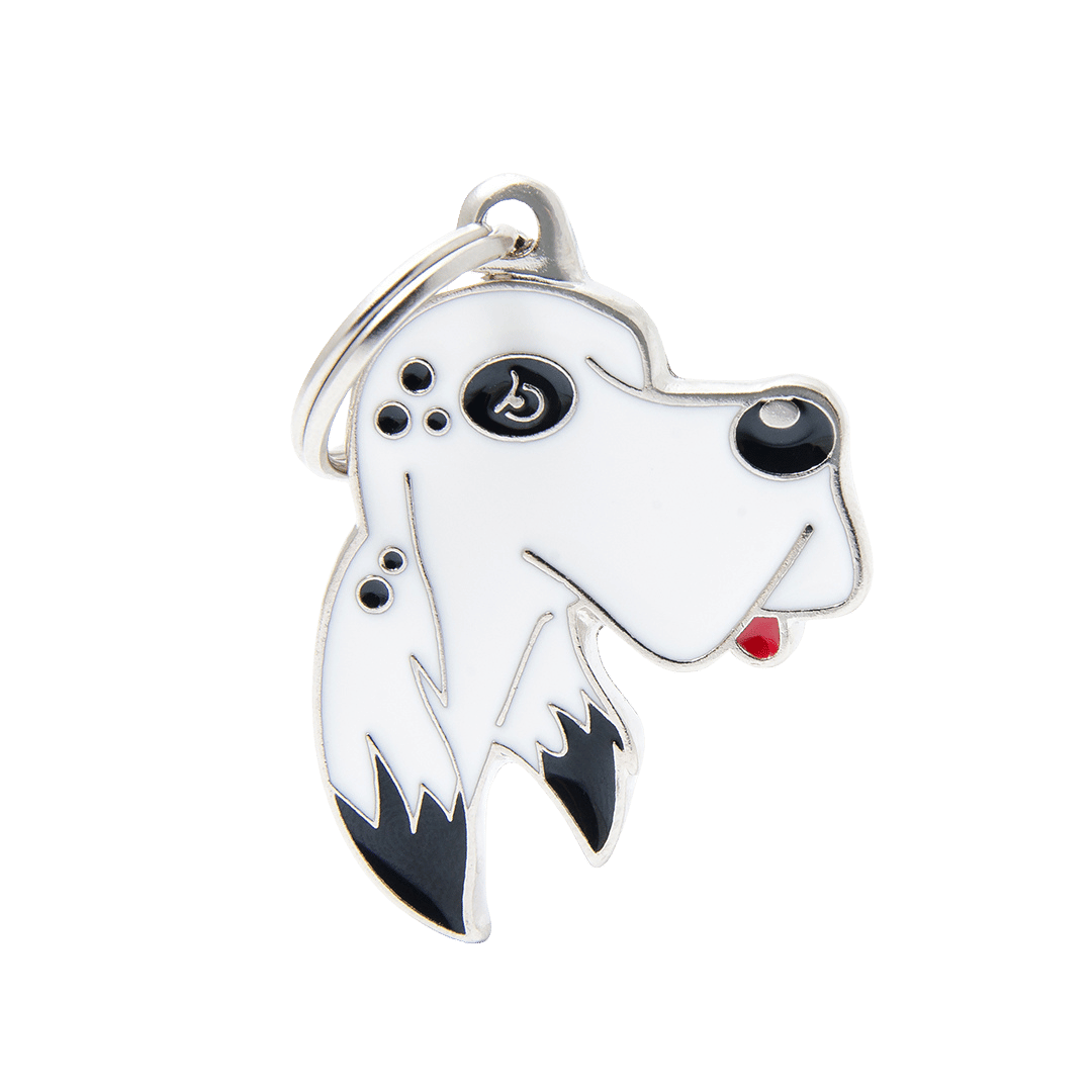 PET ID TAG《RAINBOW》8 types