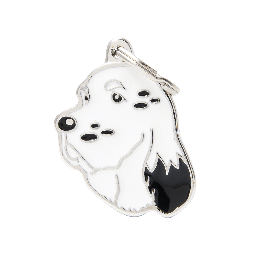 PET ID TAG《RAINBOW》8 types