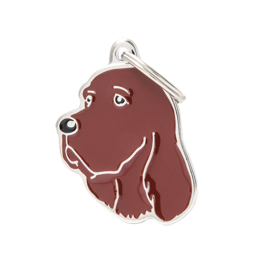 PET ID TAG《SETTER》4種