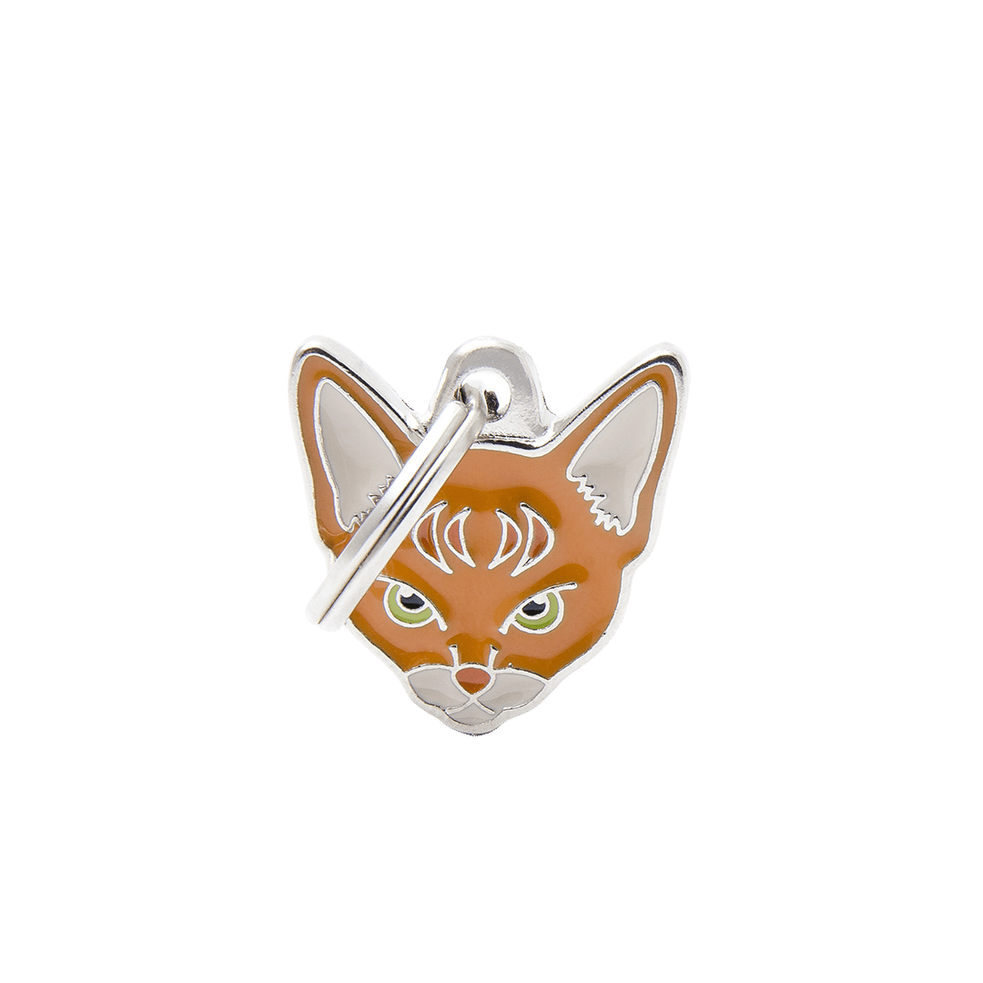 PET ID TAG《CAT》13種