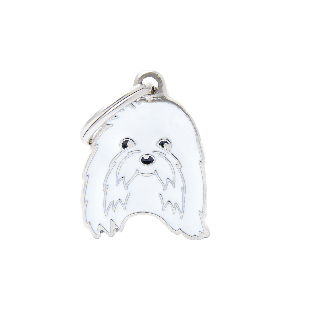 PET ID TAG《MALTESE》