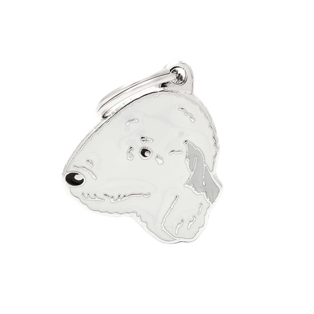 PET ID TAG《BEDLINGTON TERRIER》