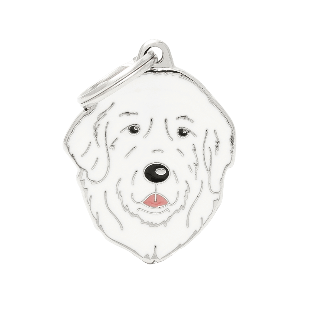 PET ID TAG《PATOU》