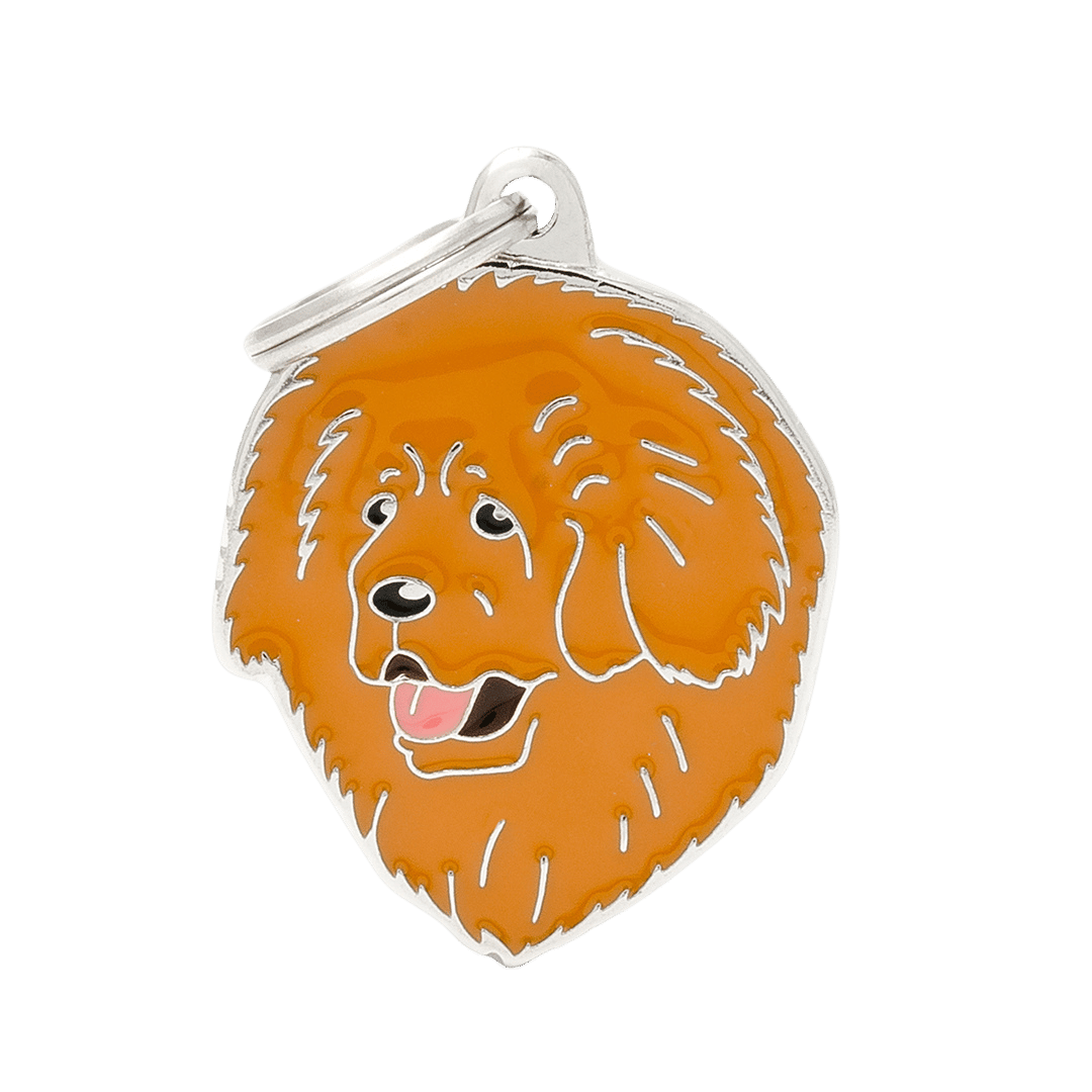 PET ID TAG《TIBETAN MASTIFF》