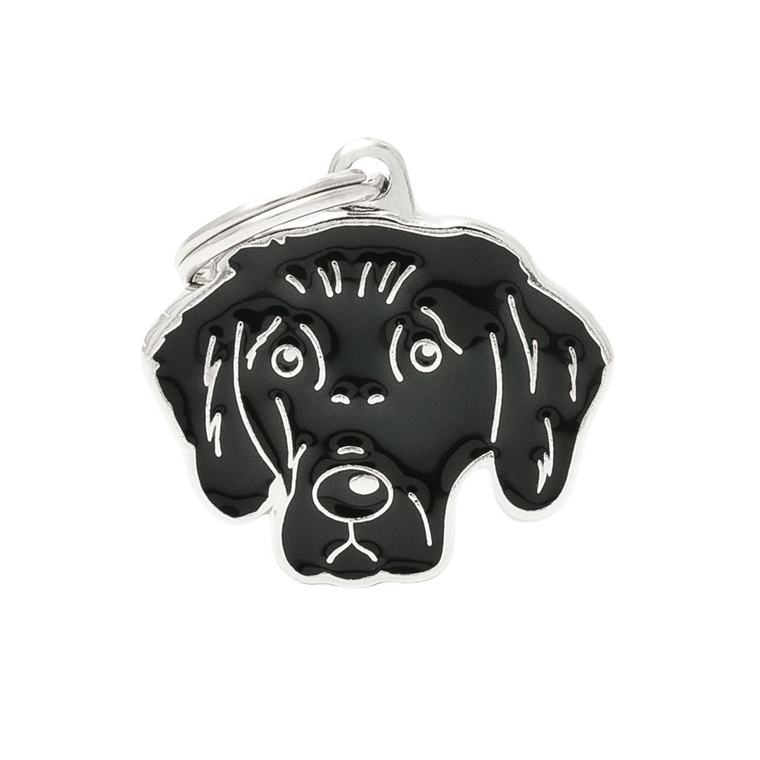 PET ID TAG《FLAT COATED RETRIVER》