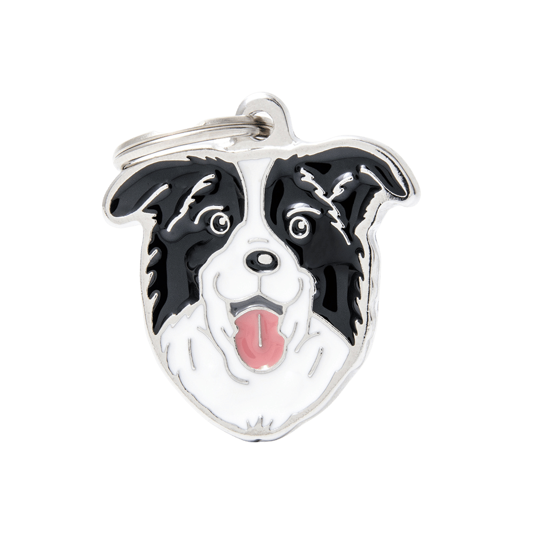 PET ID TAG《BORDER COLLIE》