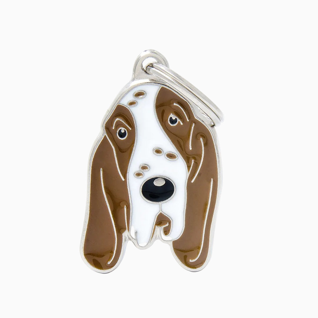 PET ID TAG《ITALIAN POINTER》