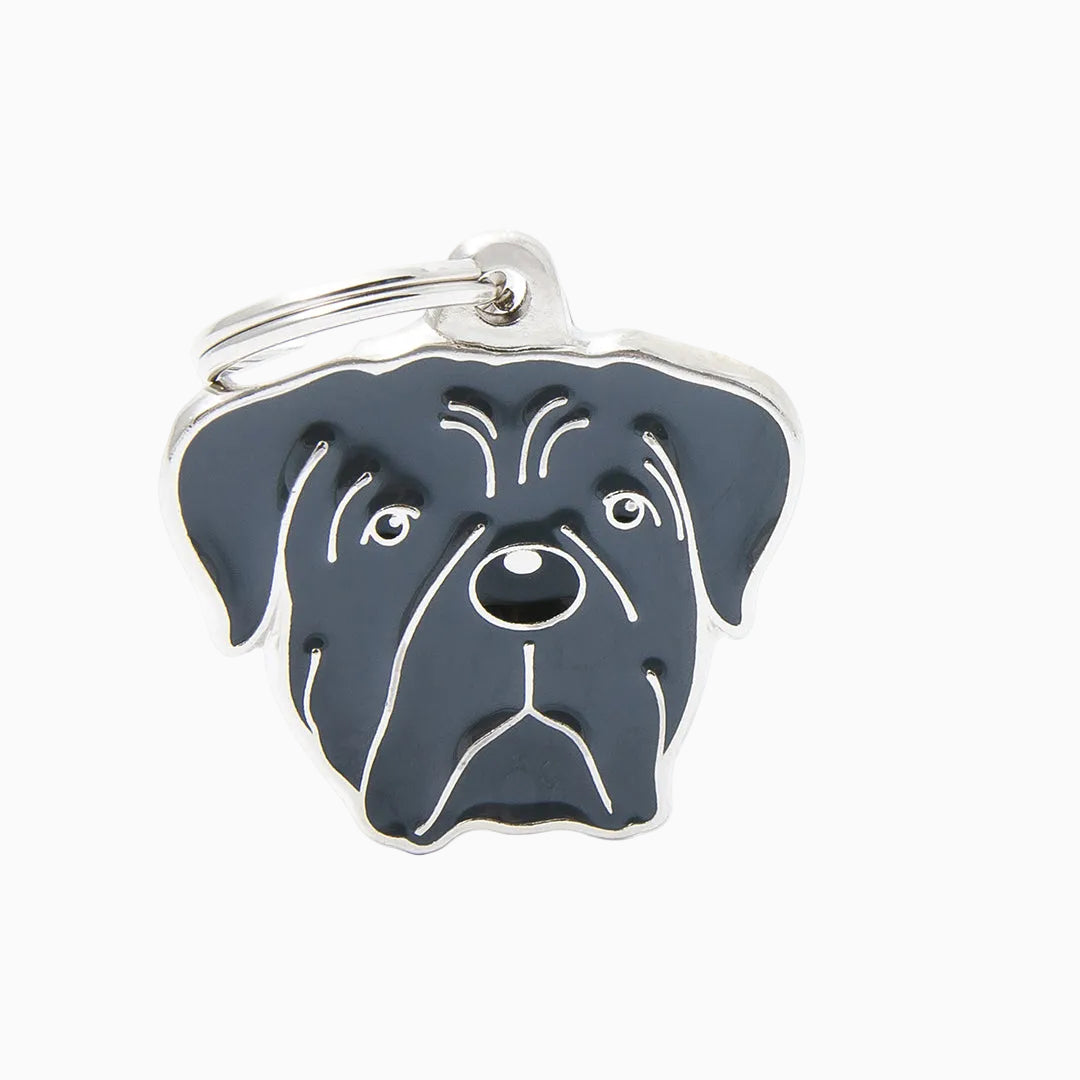 PET ID TAG《RAINBOW》8 types