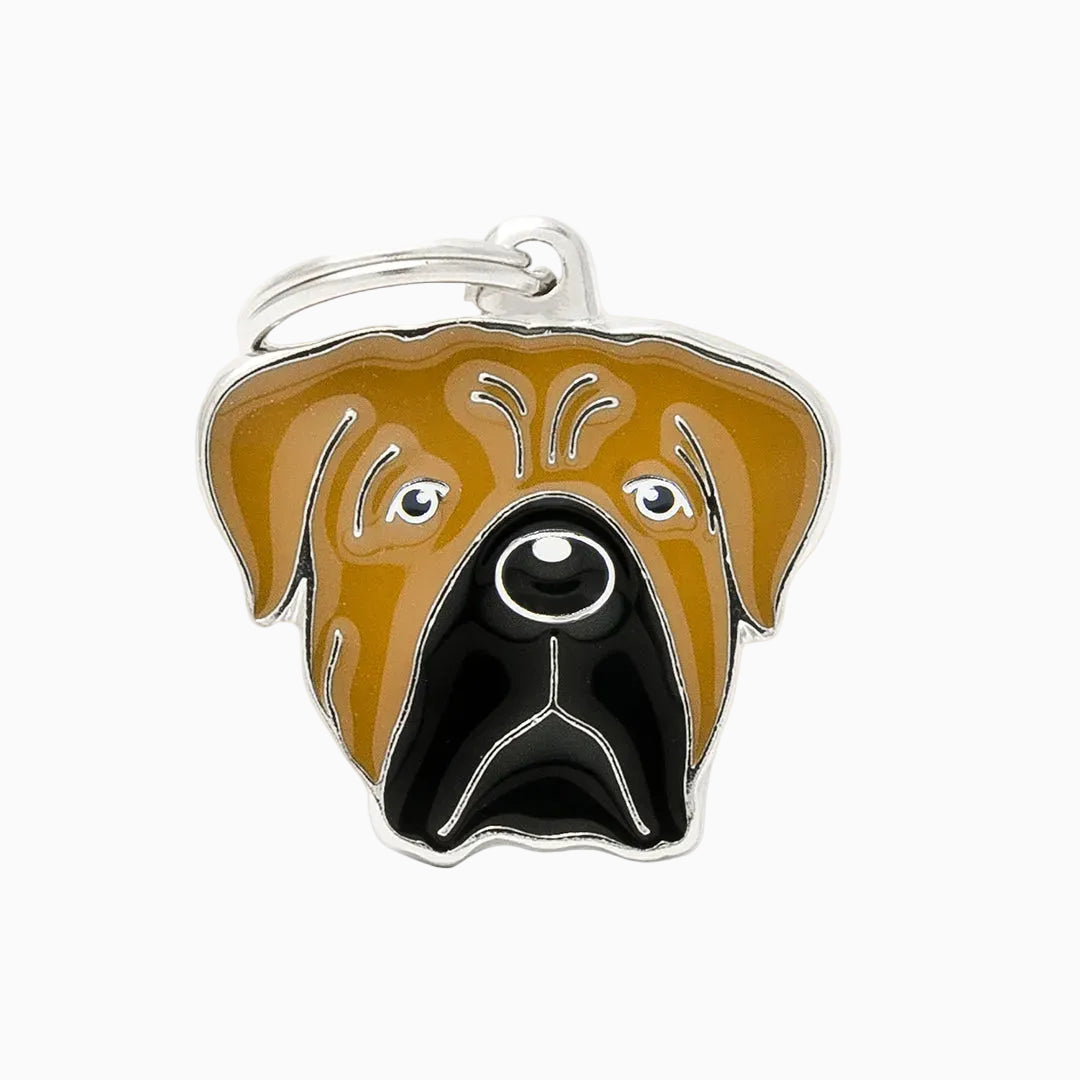 PET ID TAG《RAINBOW》8 types