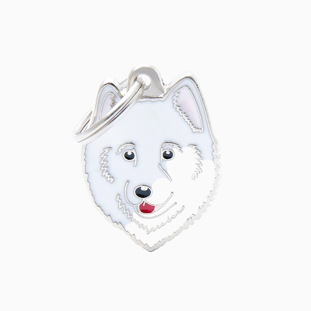 PET ID TAG《RAINBOW》8 types
