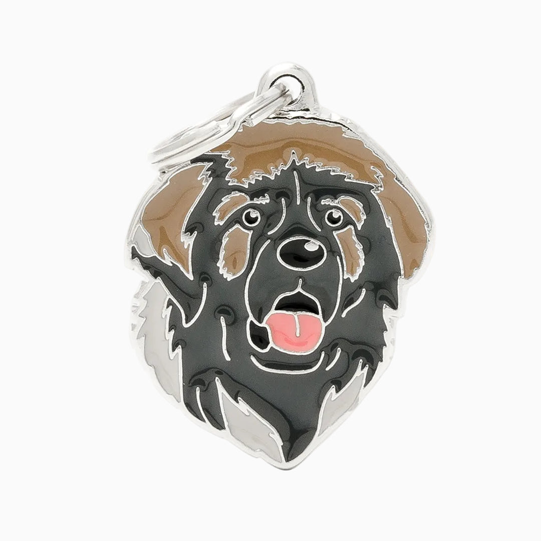 PET ID TAG《LEONBERGER》