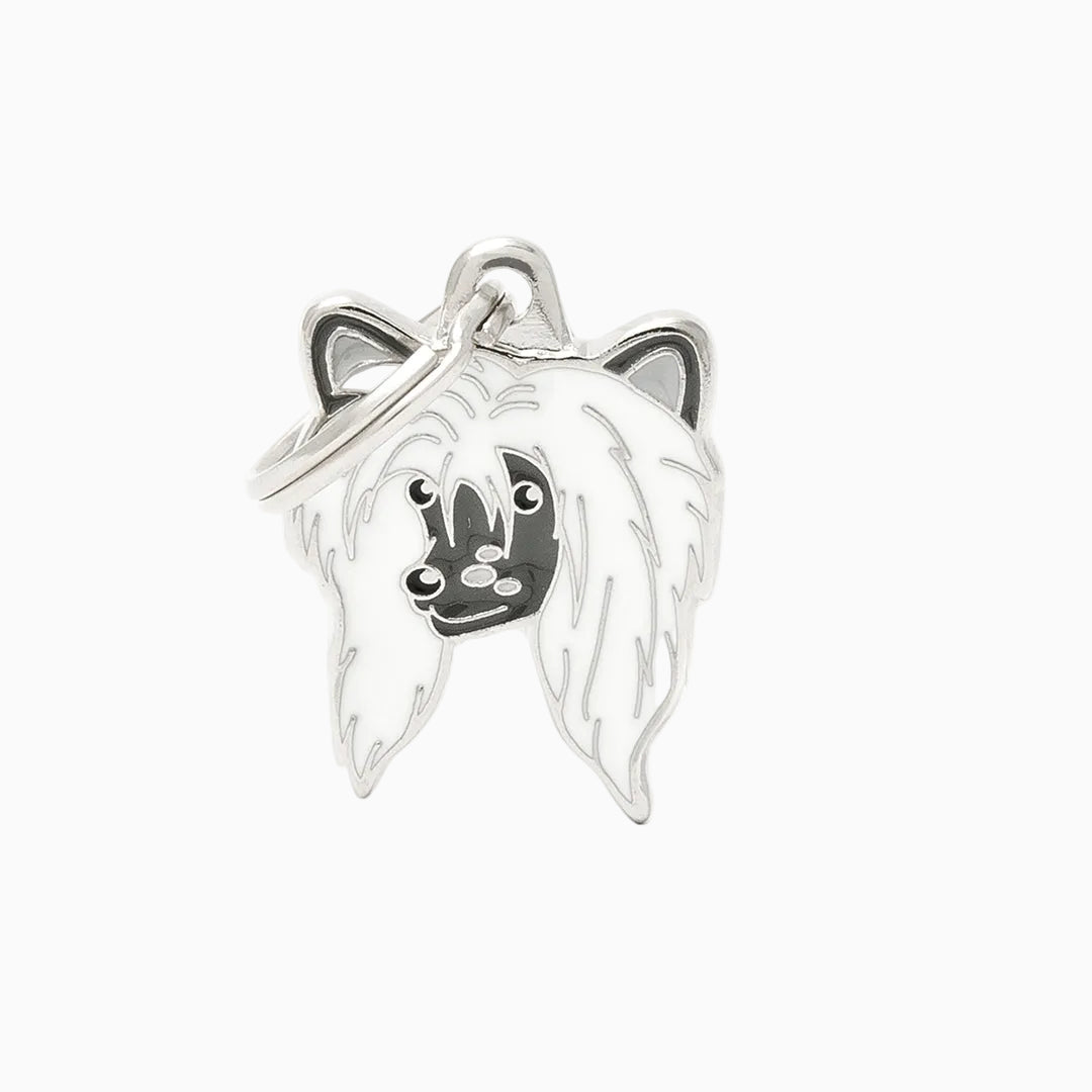PET ID TAG《RAINBOW》8 types